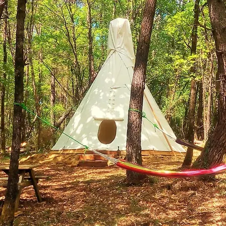 Magnifique En Rondins Avec Ou Sans Et Tipis En Plaine Nature Environnement Ressourcant Au Calme Vue Imprenable Lascaux Non Disponible Juillet Et Aout 乡村民宿